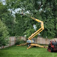 Best Tree Trimming and Pruning  in Glencoe, FL